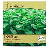 Samenliebe BIO Minze Samen alte Sorte Grüne Minze Spearmint 1000 Samen...