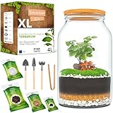 PYEF CRAFTS Flaschengarten Komplettset XL für Ökosystem im Glas - 4L...