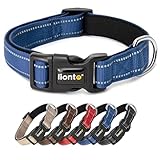 lionto Hundehalsband aus strapazierfähigem Nylon, Größe M, weiches...