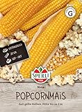 Maissamen - Mais (Popcornmais) Nana von Sperli-Samen