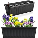 Hausfelder Blumenkasten 2er Set mit Wasserspeicher und Wasserstandsanzeige,...