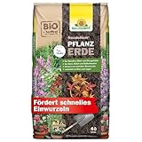 Neudorff NeudoHum PflanzErde - Bio und torffreie Erde für Beet, Kübel und...