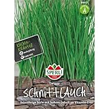 Sperli Schnittlauchsamen Twiggy 84657 – Kräutersamen für einen...