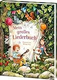 Mein großes Liederbuch: Wunderschön illustriertes Liederbuch für Kinder...
