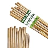 Control Garden Pack 30 Stück Bio Bambus Tutor 180 cm | Naturpfahl...