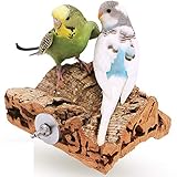 Vogelgaleria® Korksitzbrett 10x10cm für Wellensittich, Nymphensittich zum...
