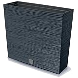 Prosperplast Blumenkasten mit Einsatz | aus robustem Kunststoff | Anthrazit...