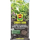 Compo SANA Grünpflanzen- und Palmenerde mit 8 Wochen Dünger für alle...