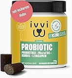 ivvi PROBIOTIC Hunde Probiotika als Leckerli - Hund Darmflora aufbauen,...