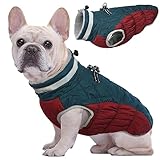 Kuoser Winter Hundejacke für mittelgroße Hunde – Wasserdichter &...