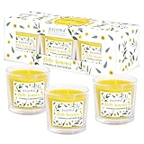 pajoma® Citronella Duftkerzen 3er Set - je 50g Wachs | ca. 8h Brenndauer...
