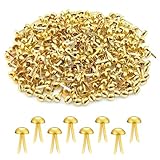 300 Stück Musterbeutelklammern Metall, Gold Rundkopfklammern 8 * 16mm,...