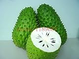 20 Stück Soursop Graviola Guanabana Annona muricata SEMI l Frutta NO-OGM...