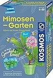 Kosmos 657802 Mimosen-Garten Pflanzen züchten und erforschen Komplett-Set...