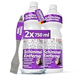 Ricostar Schimmelentferner mit Pinsel 2x 750 ml – Reinigungsmittel zur...