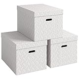 VON 3er Set Aufbewahrungsbox mit Deckel, 46 L, Extra groß, 100 %...