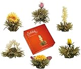 Creano Teeblumen Mix – „ErblühTee“ in edler Geschenkbox zum...