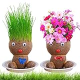 Graskopf Wachsende, Blumenkopf Graskopf Puppen Pflanze,Grasköpfe...