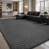 Sour Lemon Teppich Wohnzimmer 140x200cm, 3D Halbkreismuster Teppichd Grau...