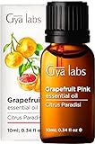 Gya Labs Ätherisches Grapefruitöl (10 ml) – 100 % reines und...