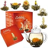 Creano Teeblumen Geschenkset - Erblühtee Frühjahrslese mit 500ml...