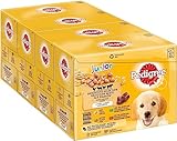 Pedigree Junior Hundenassfutter Vital Protection für Welpen, 48...