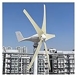 MKHFP 3000W 5 Klingen Free Energy Windmühle 12V 24V 48V Windleistung Small...