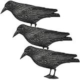 Rabe Krähe Taubenschreck Vogelschreck Taube Vogel Schreck Pflanzenschutz...