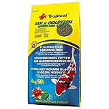 KOI&Goldfish SPIRULINA Sticks 4kg - Teichfischfutter in Form von...