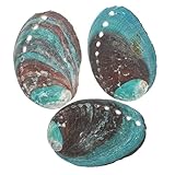 VALICLUD 3Stücke Abalone Räuchergefäße Abalone Muscheln für Räuchern...