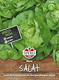 82850 Sperli Premium Kopfsalat Samen Mona | Zart | Große Köpfe |...