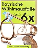 Luna® Bayerische Wühlmausfalle 6X Made in Austria - giftfrei - Kein...