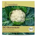 Samenliebe BIO Blumenkohl Samen alte Sorte Weißer Schneeball...