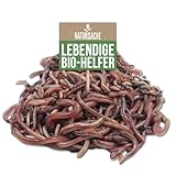 Natursache Kompostwurm-Mix 250 STK./Box + E-Book I Mit 3 Arten lebenden...