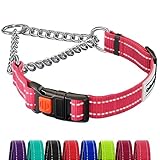 CollarDirect Reflektierendes Zugstopp Martingale Hundehalsband...