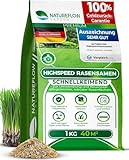 Rasensamen schnellkeimend Sommer 1kg 40qm - TEST SEHR GUT - Schnell...