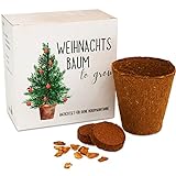 Tannenbaum Geschenk Set - Tannenbaum in der Dose Anzuchtset mit...