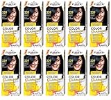 (Pack of 10) Palette Color Shampoo 1-1 (339) Blue Black Hair Color - Full...