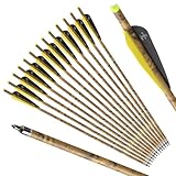 S F Armbrustbolzen, Armbrustpfeile 22 Zoll aus Carbon für die Jagd und...