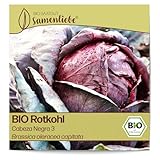 Samenliebe BIO Rotkohl Samen Cabeza Negra 3 aromatischer Blaukraut runder...