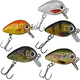 Paradox Fishing Mini Wobbler Set 5 Wobbler (2,5cm 1,5g schwimmend...