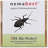 nemabest® HB Nematoden zur Bekämpfung des Dickmaulrüsslers - gegen...