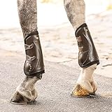 SUNRIDE Springgamaschen (2er Set) für Pferde - aus Echtleder, Neopren und...