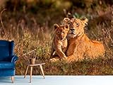 Wandtapete Löwin und Welpe | Wandtapete | Wandbild | Tapete | Verschiedene...
