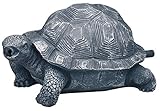 OASE 36778 Wasserspeier Schildkröte | Teichfigur | Dekoration |...