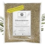 Olivenblätter 500g • 'Energie & Lebenskraft' • Erste Wahl • hoher...