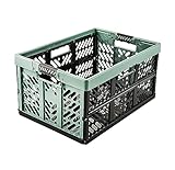 keeeper Stabile Profi-Klappbox mit Soft-Touch Griffen, 54 x 37 x 28 cm, 45...