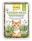 GimCat Katzengras 150g - Katzengras mit schneller Aufzucht in nur 5 bis 8...