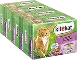 Kitekat Katzenfutter Nassfutter Markt Mix in Gelee, 48 Portionsbeutel (4 x...