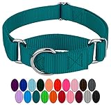 Country Brook Petz Martingale Hundehalsband, robustes Trainingshalsband...